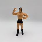 WWE JAKKS Pacific Stevie Richards Wrestling Action Figure