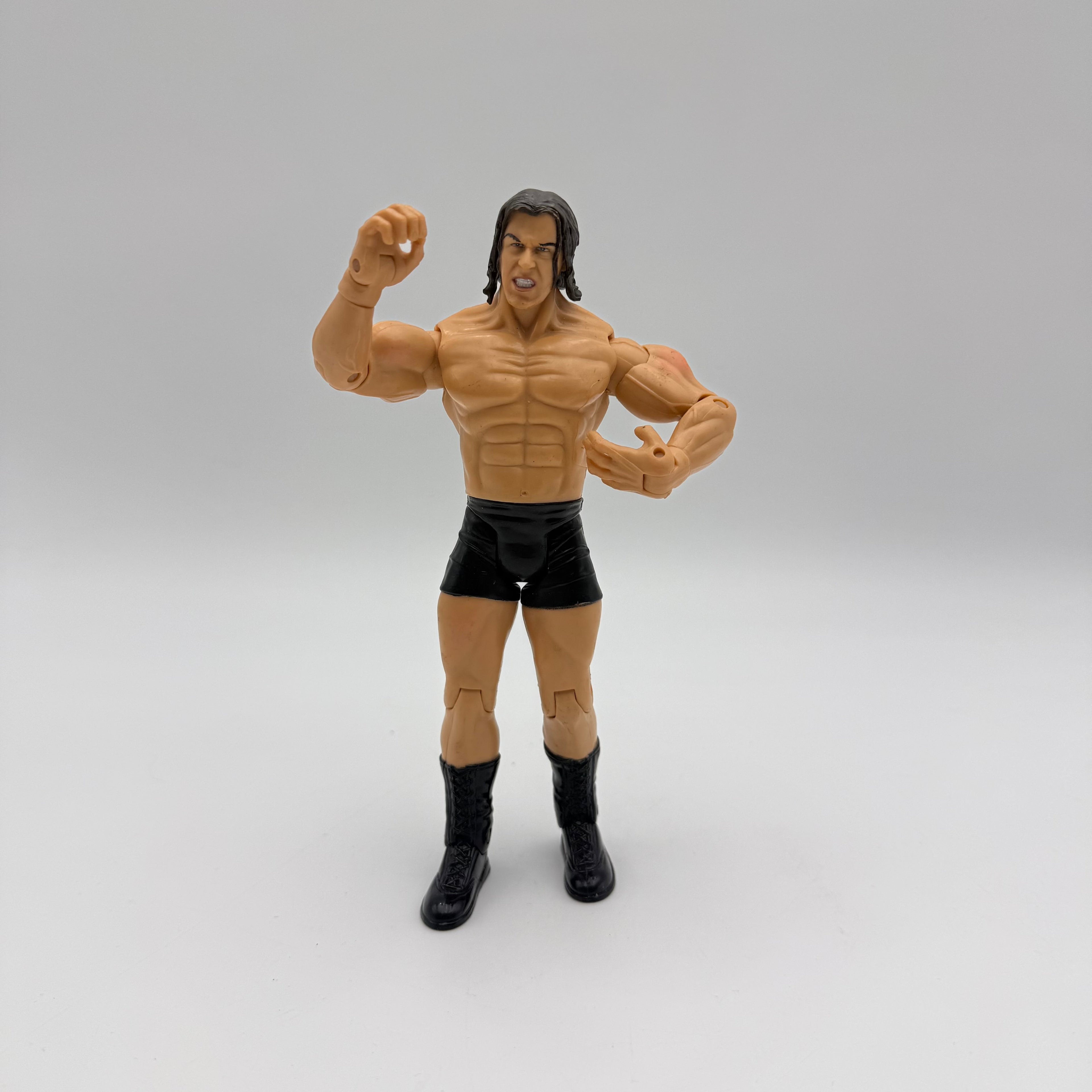 WWE JAKKS Pacific Stevie Richards Wrestling Action Figure