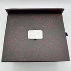 Star Wars Hot Toys DX17 Darth Maul & Speeder 1/6 scale Action Figure