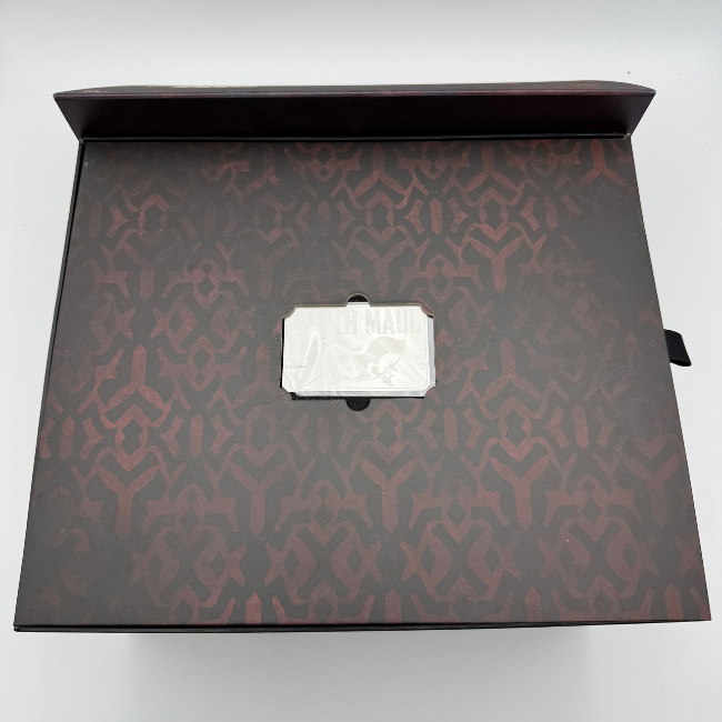 Star Wars Hot Toys DX17 Darth Maul & Speeder 1/6 scale Action Figure