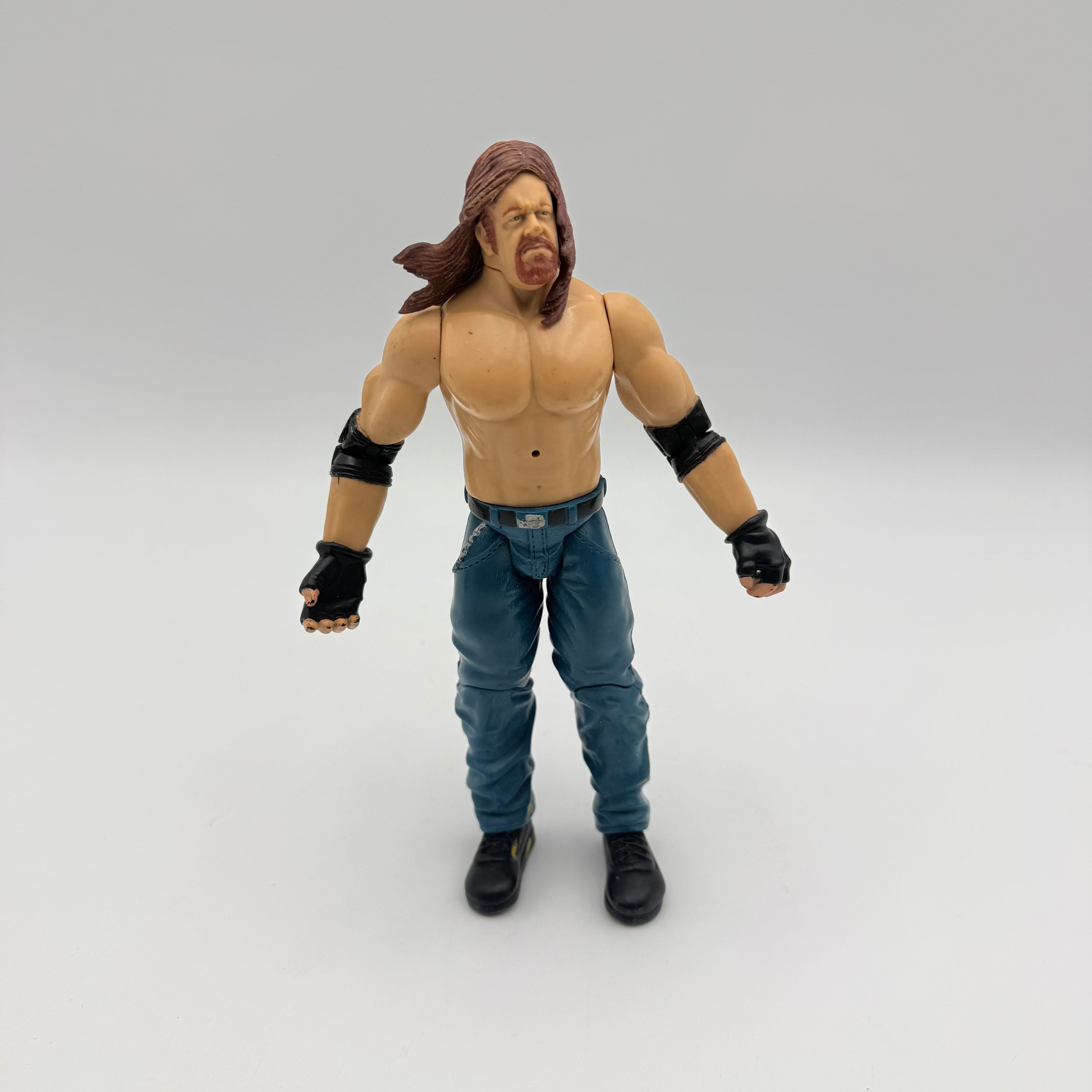 WWE JAKKS Pacific Triple H  Wrestling Action Figure
