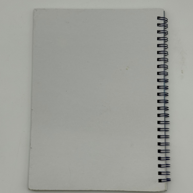 Doctor Who Maze Game