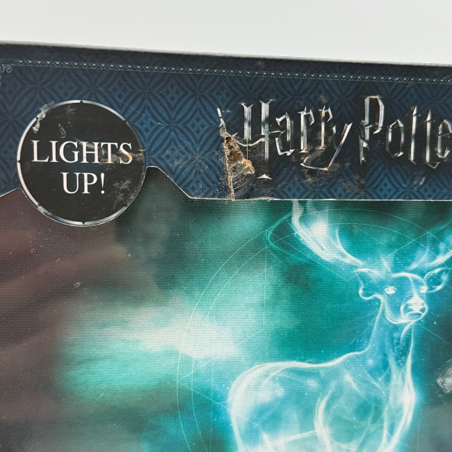 Harry Potter Warner Brothers Luminart Patronus Canvas Light Home Decor