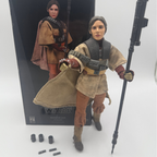 Star Wars Sideshow Collectables Princess Leia As Boushh 1/6 Scale Action Figure