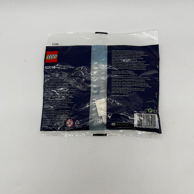 LEGO 40013 Halloween Ghost Seasonal Polybag New