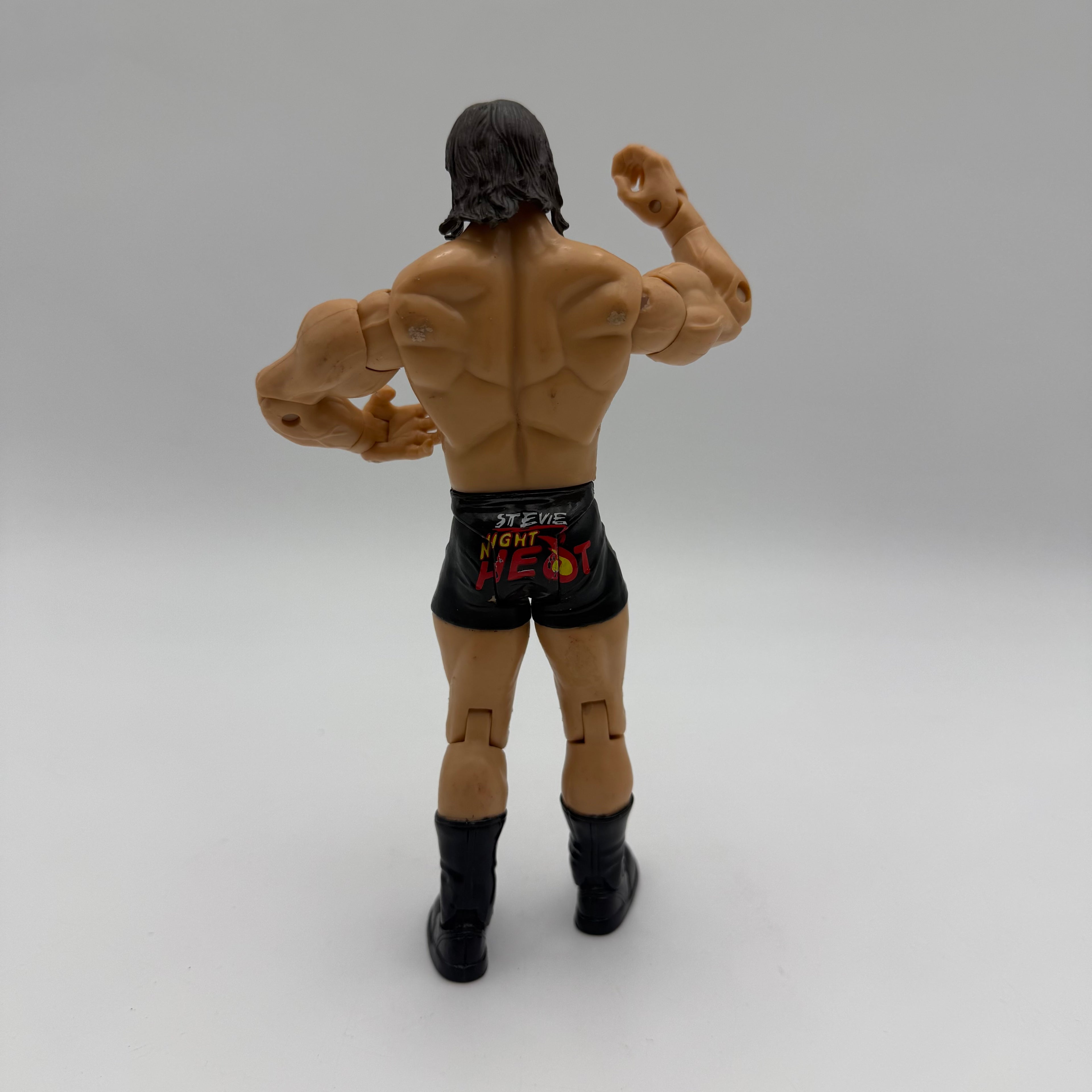 WWE JAKKS Pacific Stevie Richards Wrestling Action Figure