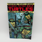 Teenage Mutant Ninja Turtles Volume 1 Change is Constant Book