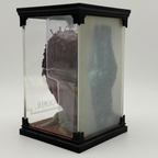 Fantastic Beasts The Noble Collection Fwooper Statue (Copy)