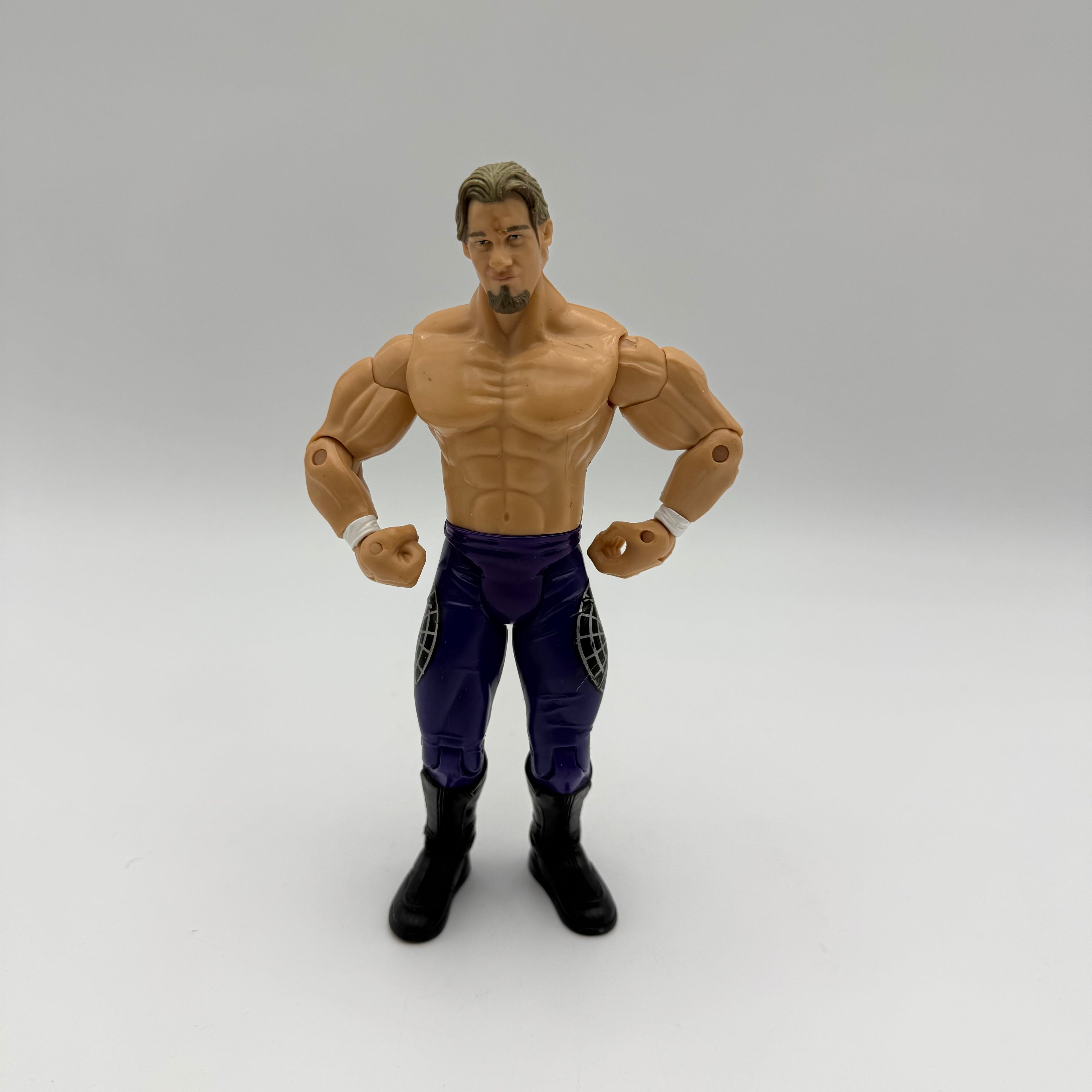 WWE JAKKS Pacific Chris Jericho  Wrestling Action Figure