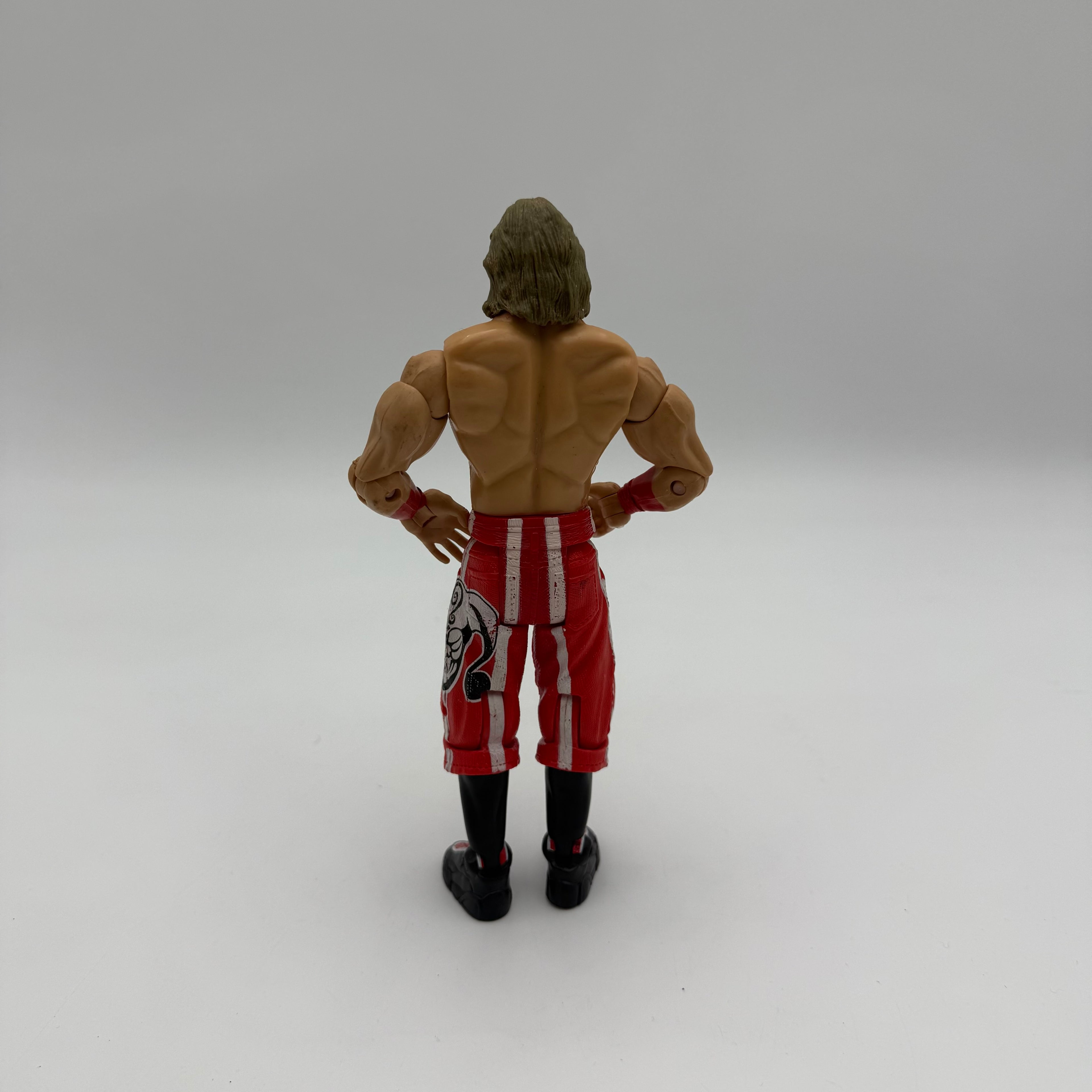 WWE JAKKS Brian Kendrick  Wrestling Action Figure