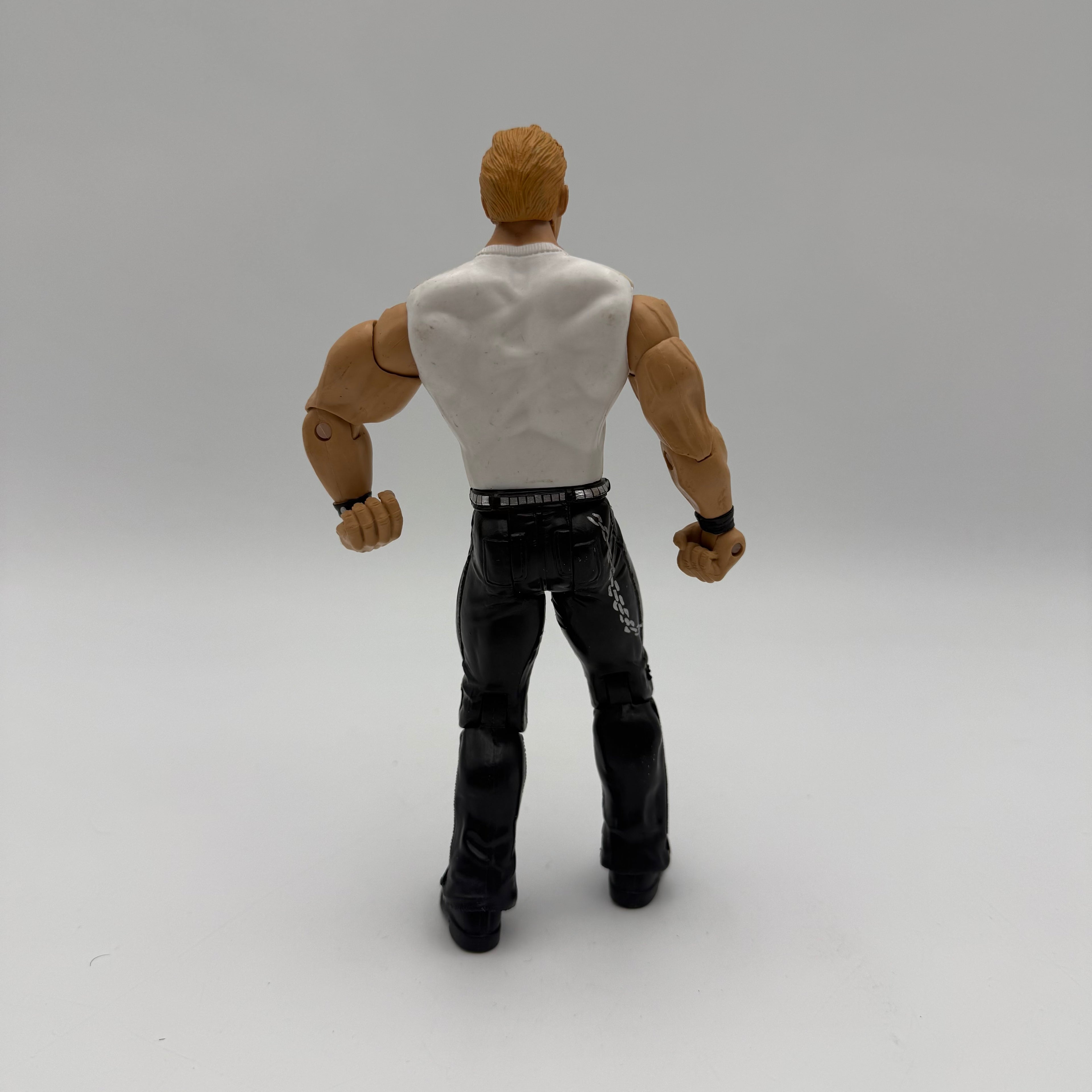 WWE JAKKS Pacific Chris Jericho  Wrestling Action Figure