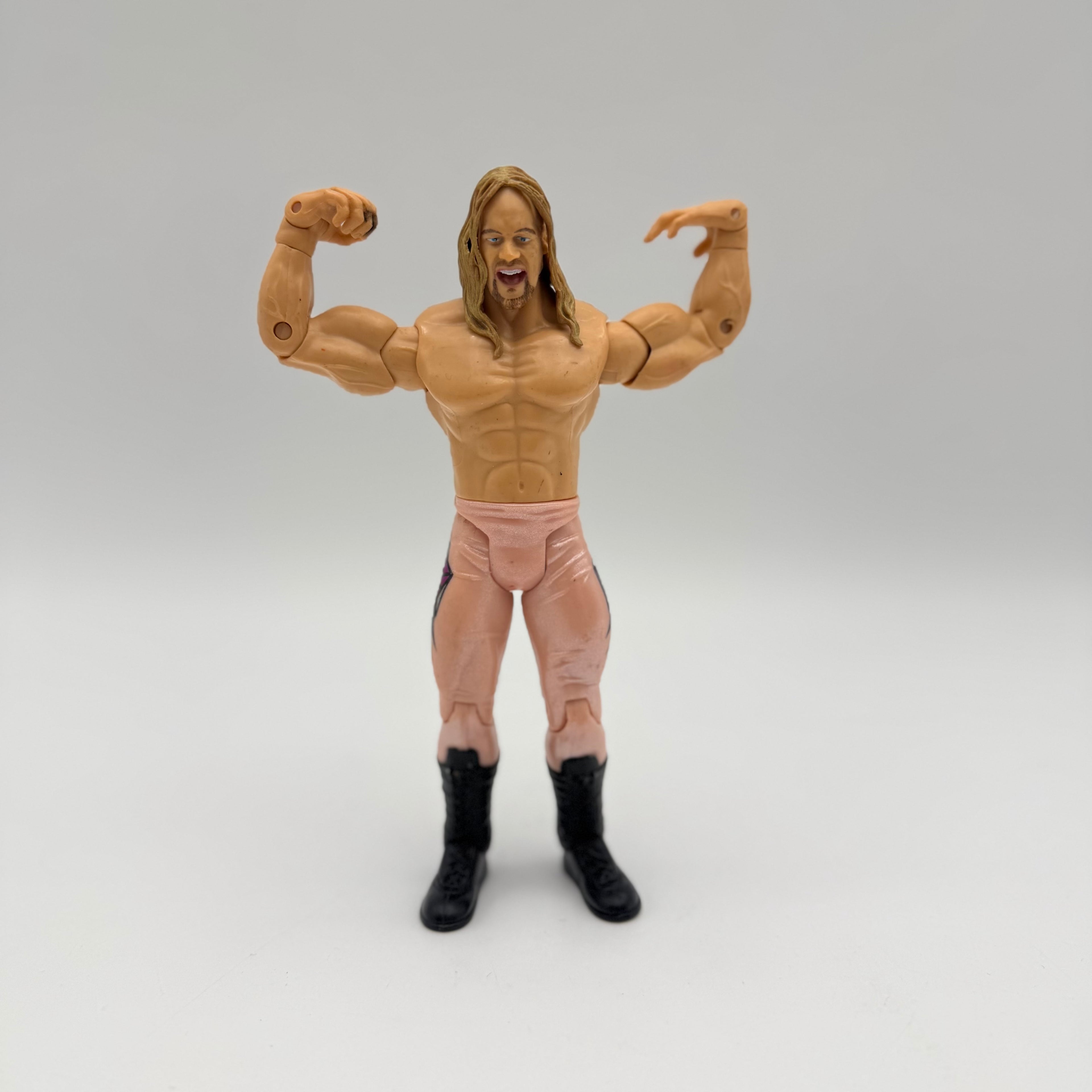 WWE JAKKS Pacific Chris Jericho Wrestling Action Figure