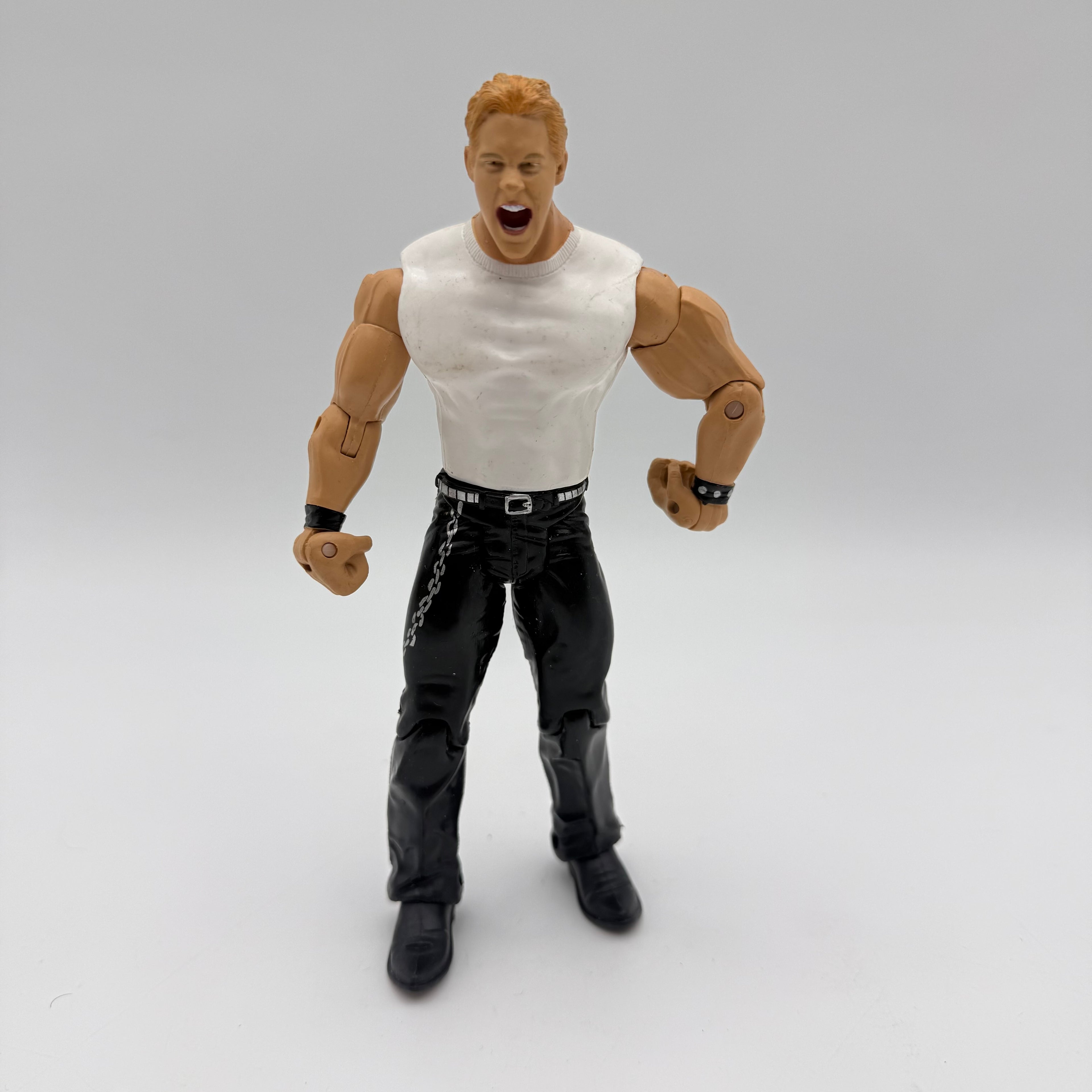 WWE JAKKS Pacific Chris Jericho  Wrestling Action Figure