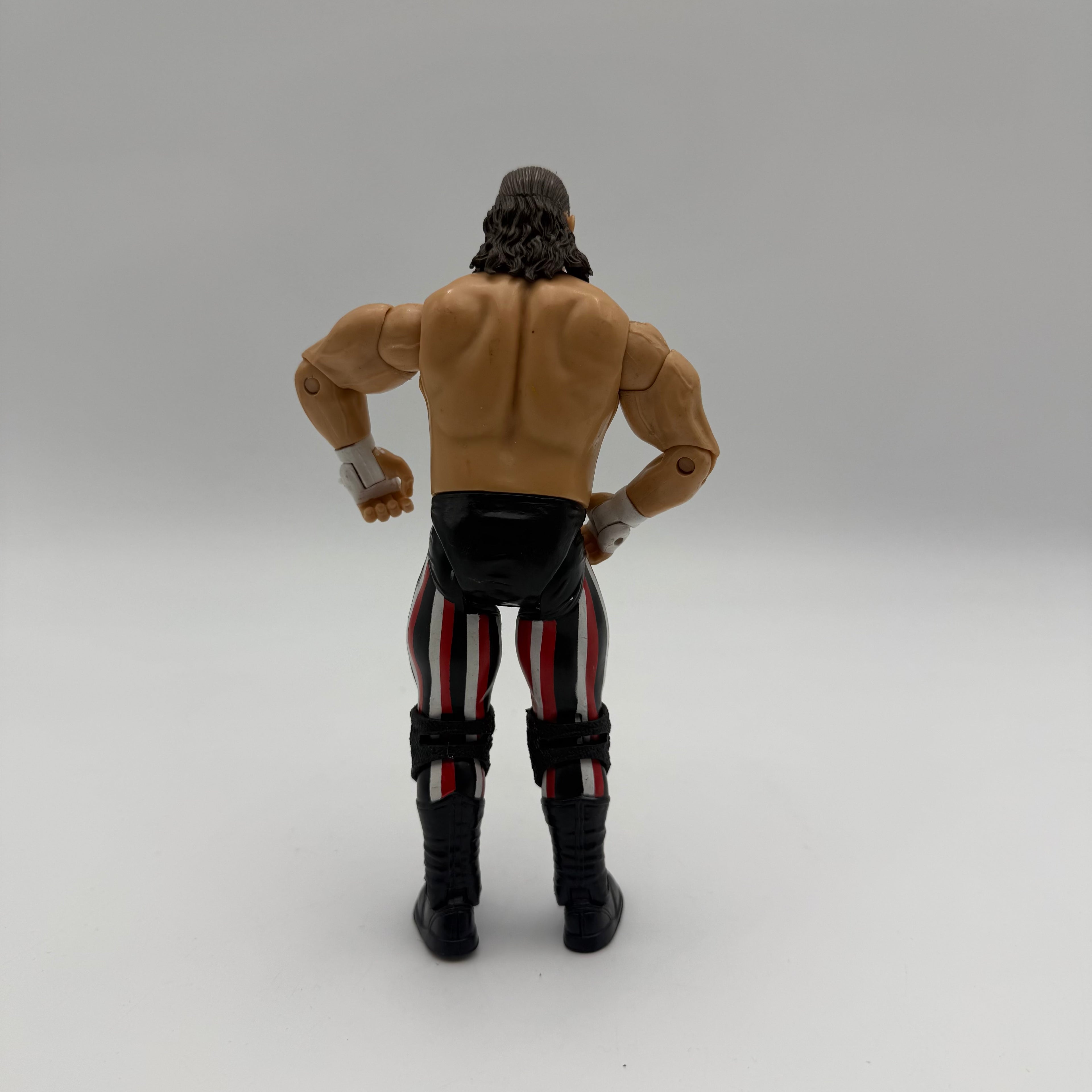 WWE JAKKS Pacific Terry Funk Wrestling Action Figure