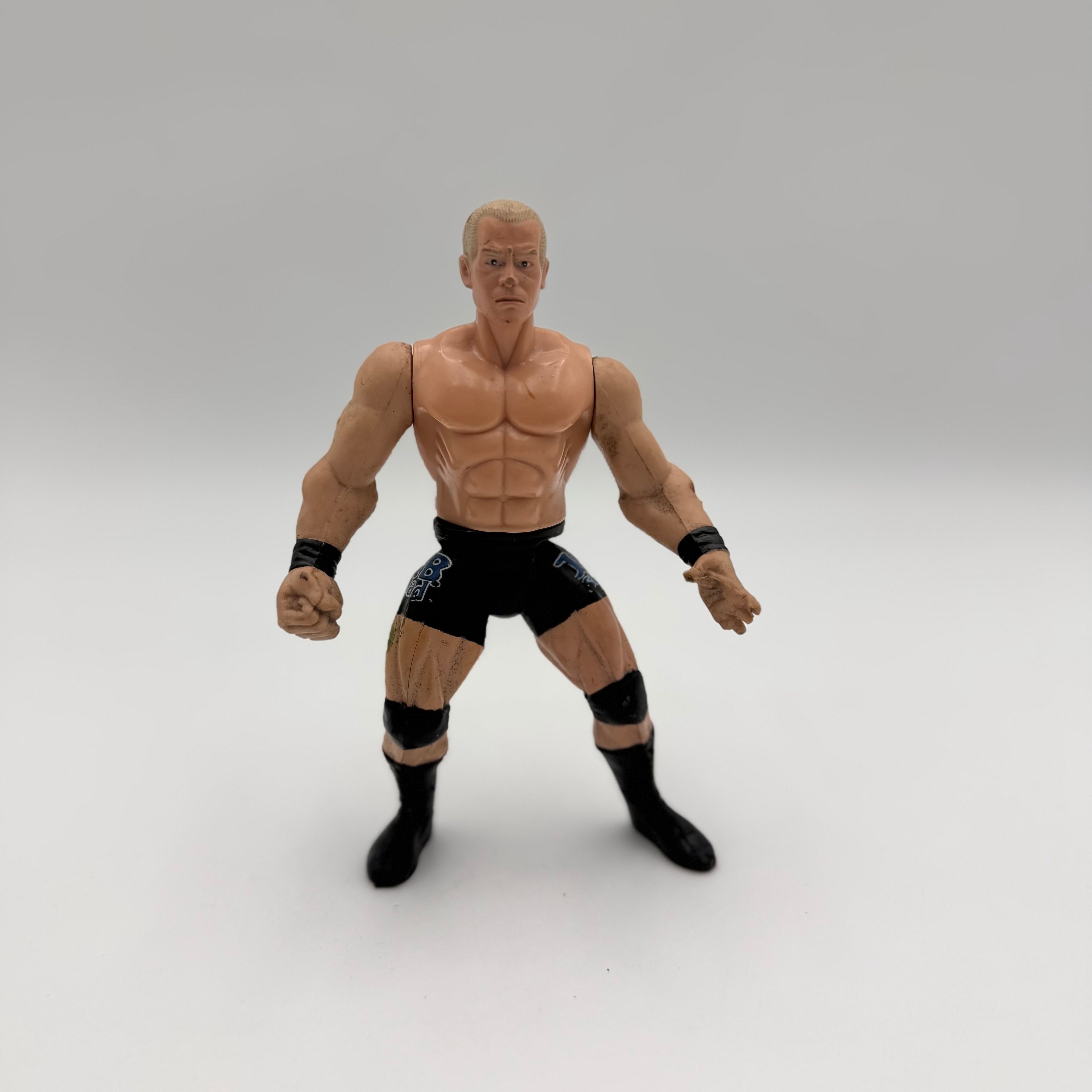 WWE JAKKS Pacific Hardcore Holly Wrestling Action Figure