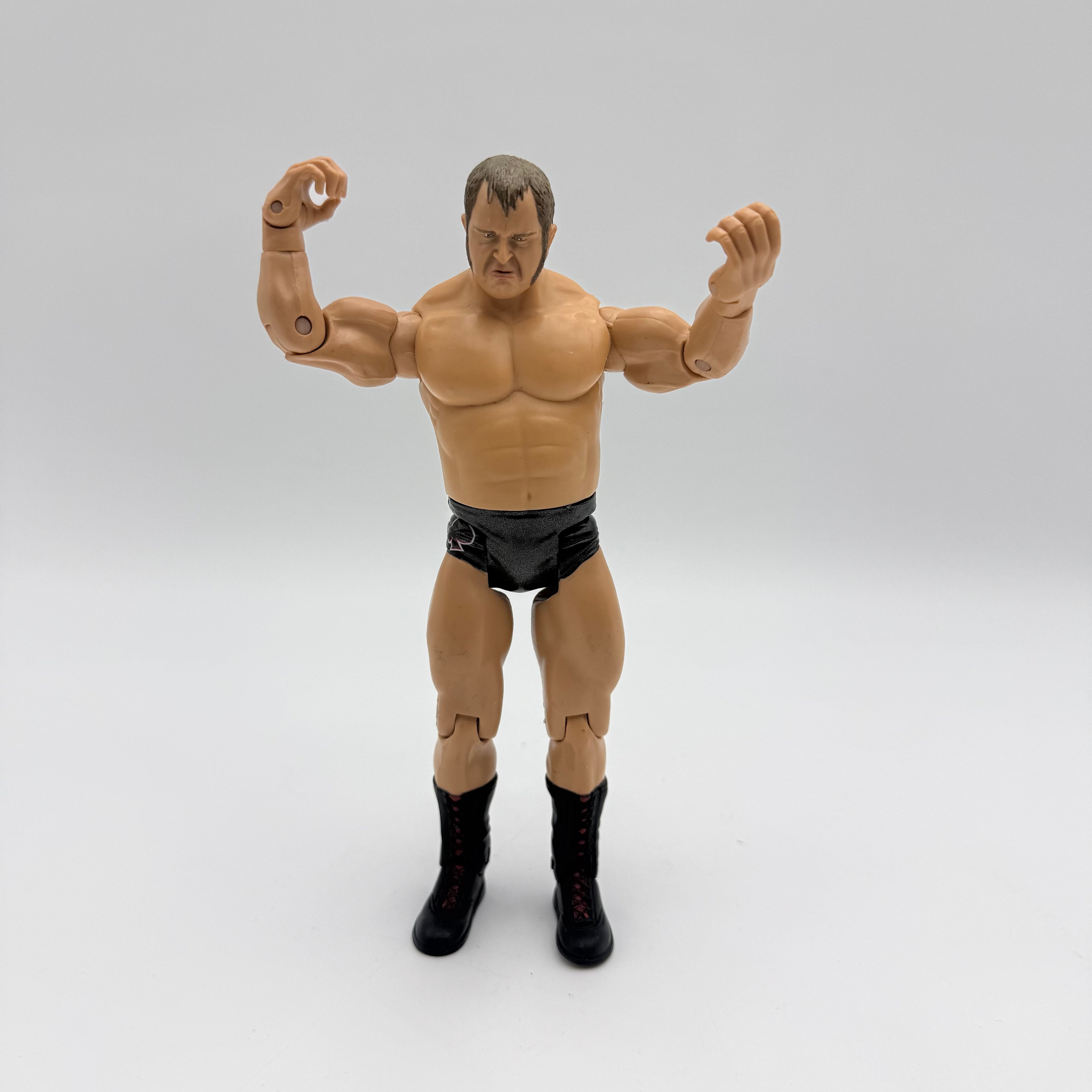 WWE JAKKS Pacific Rene Dupree Wrestling Action Figure
