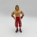 WWE JAKKS Brian Kendrick  Wrestling Action Figure