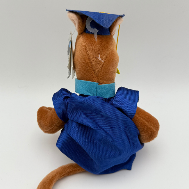 Scooby Doo Warner Bros Graduation Scooby Plushie
