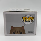 Harry Potter Funko Pop Hermoine Cat 77 Bobblehead Figure