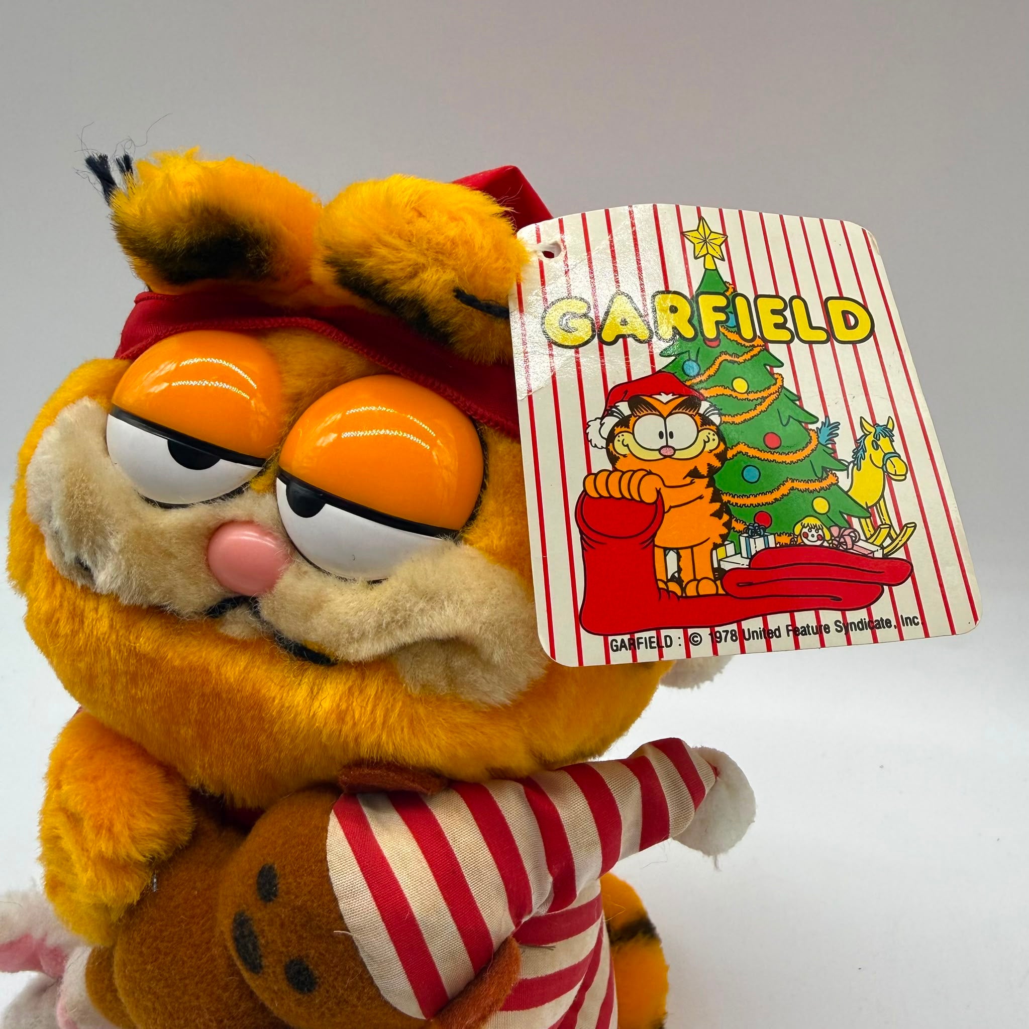 Vintage Bedtime Garfield 1981 Jim Dakin Plushy With Tags