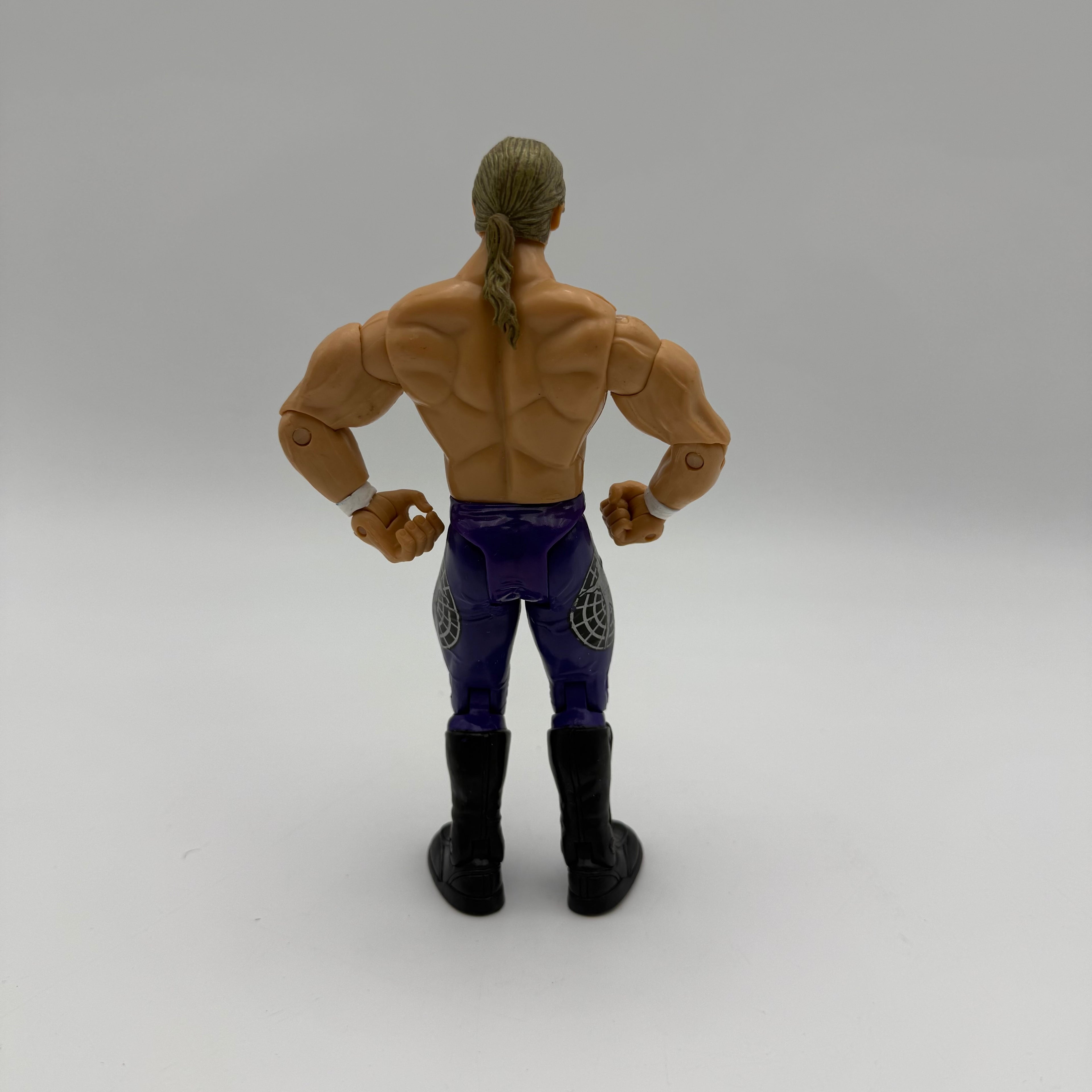 WWE JAKKS Pacific Chris Jericho  Wrestling Action Figure