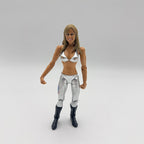 WWE JAKKS Pacific Michelle McCool Diva Wrestling Action Figure