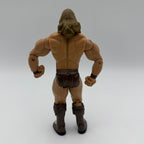 WWE JAKKS Robbie McAllister Wrestling Action Figure