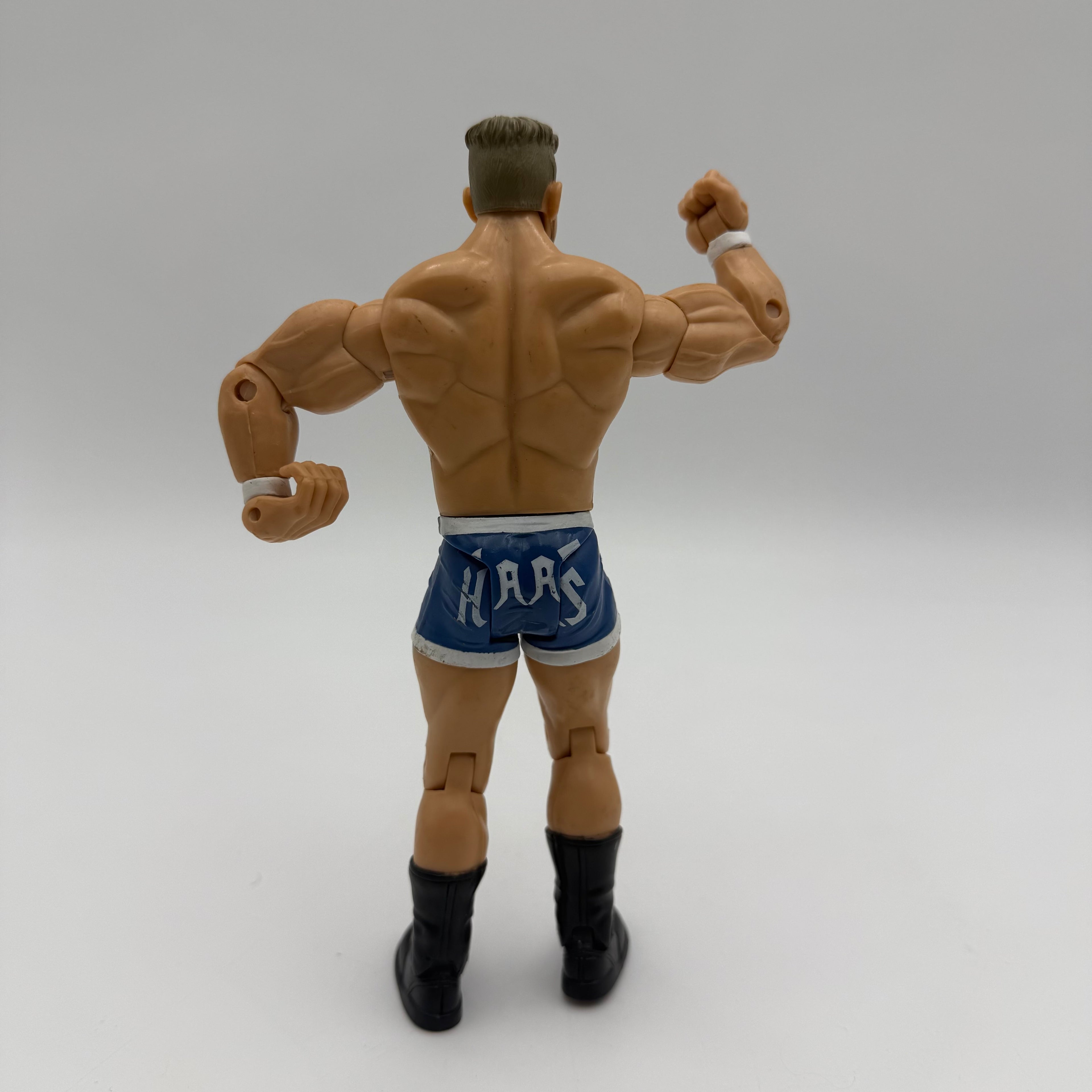 WWE JAKKS Charlie Haas Wrestling Action Figure