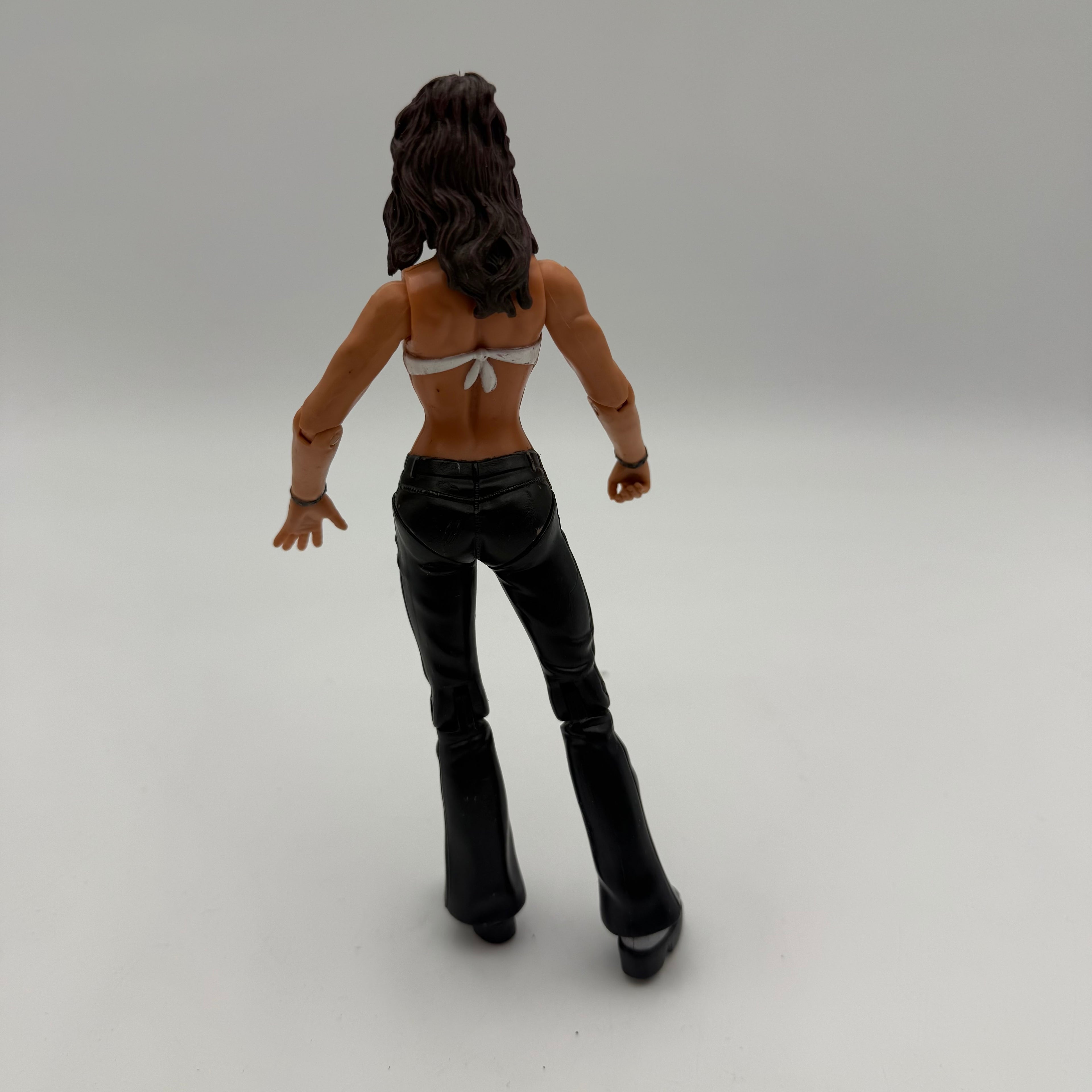 WWE JAKKS Pacific Team Extreme Lita Diva Wrestling Action Figure