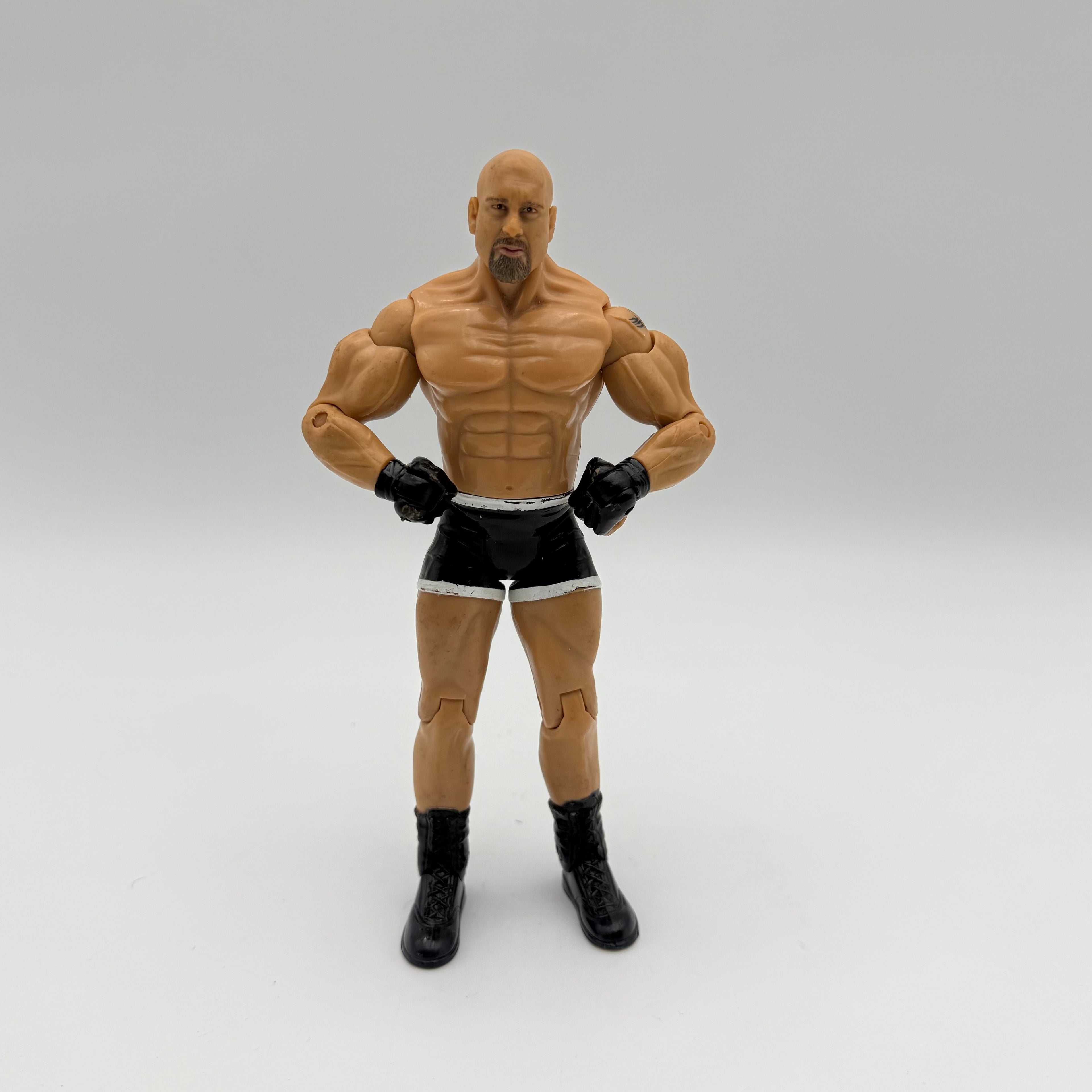 WWE JAKKS Pacific Goldberg Wrestling Action Figure