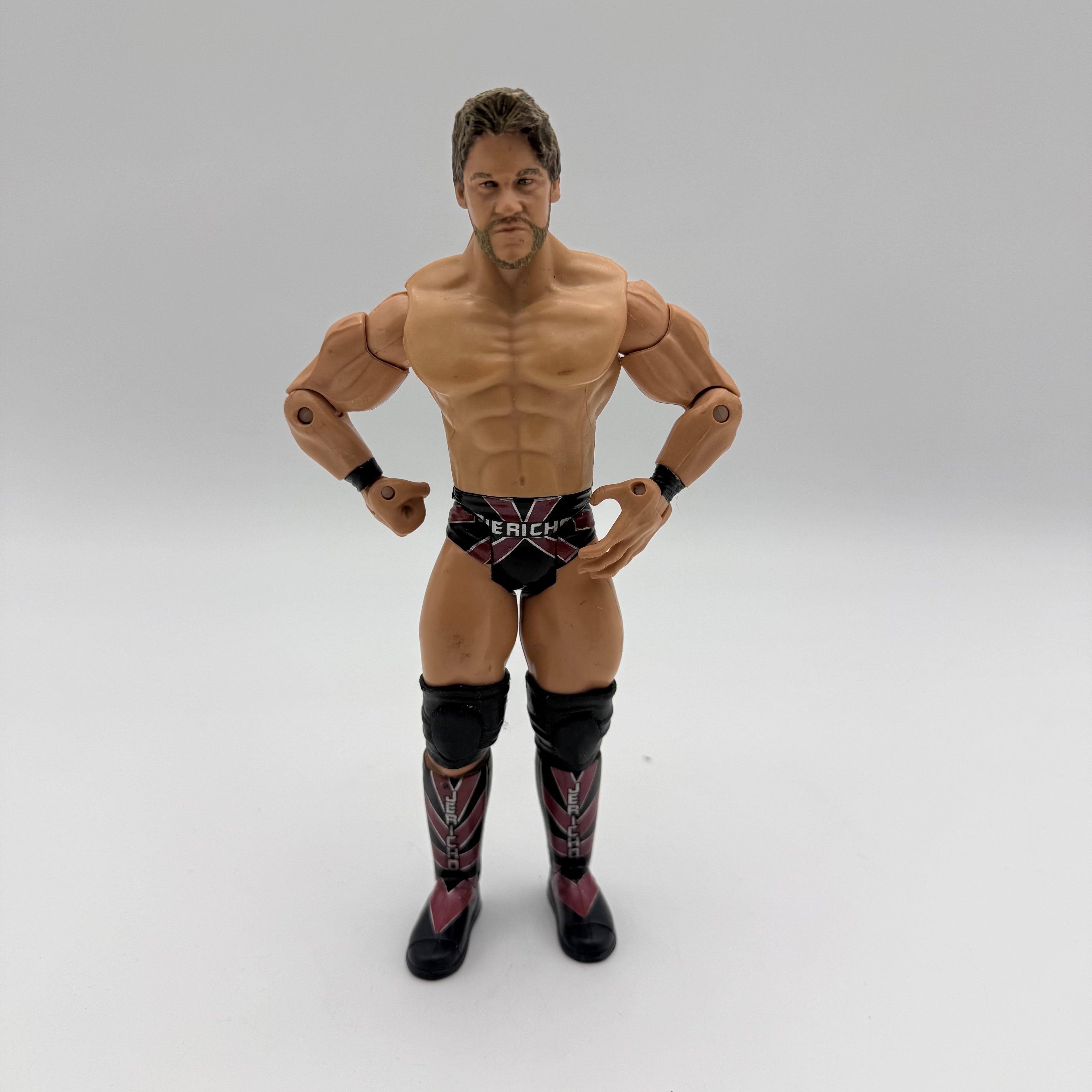 WWE JAKKS Pacific Chris Jericho Wrestling Action Figure