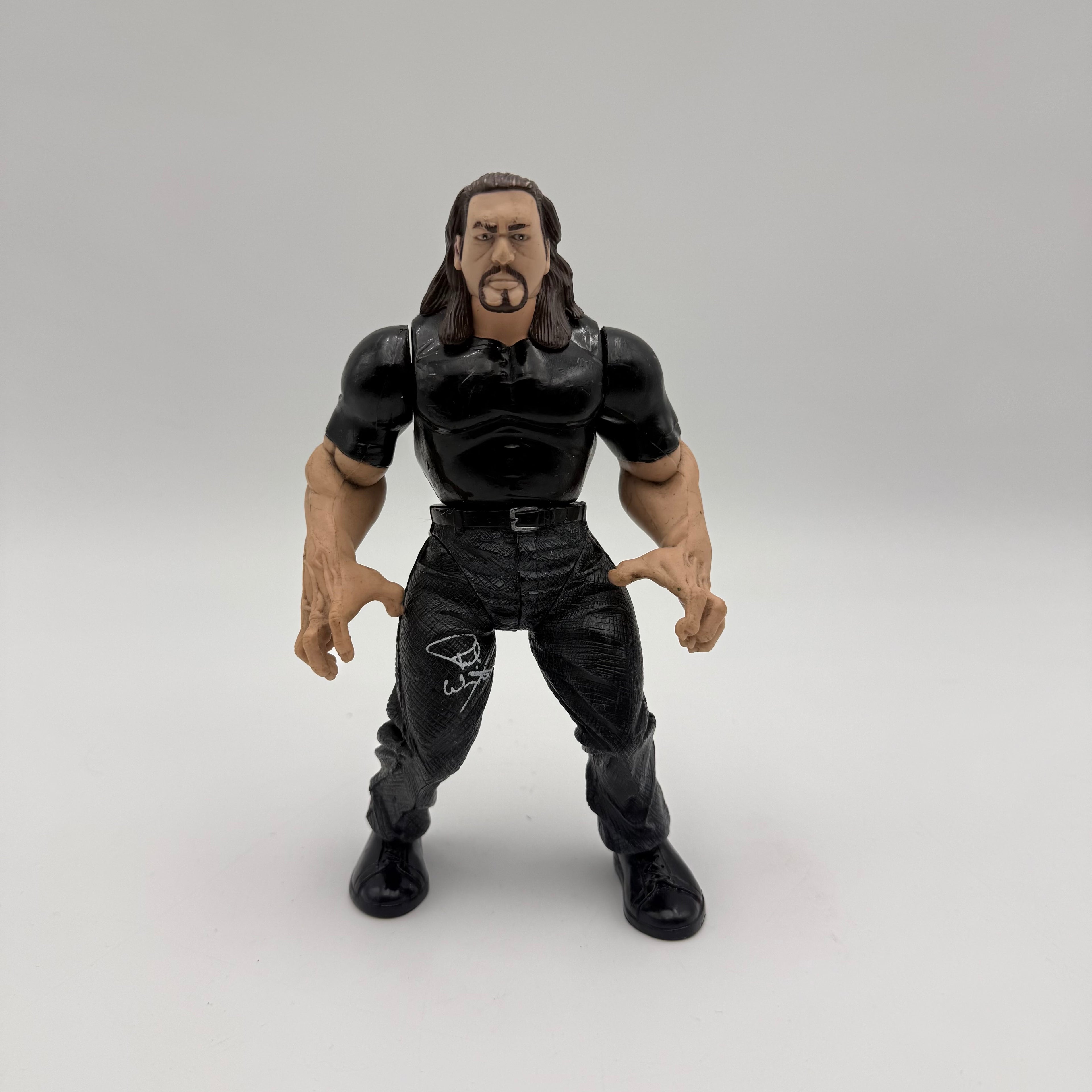 WWE JAKKS Pacific The Big Show (Paul Wight) Wrestling Action Figure