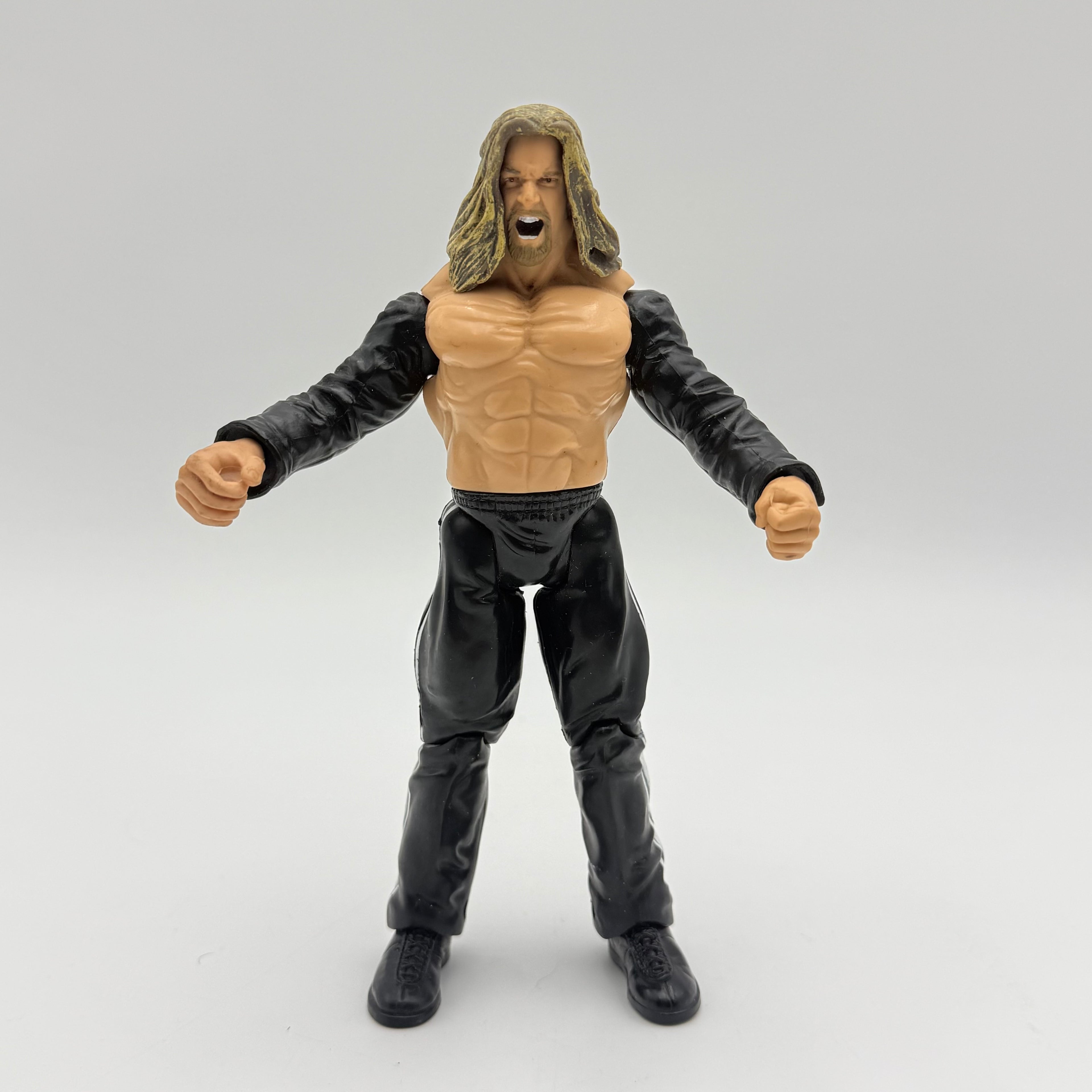 WWE JAKKS Pacific Triple H (2) Wrestling Action Figure