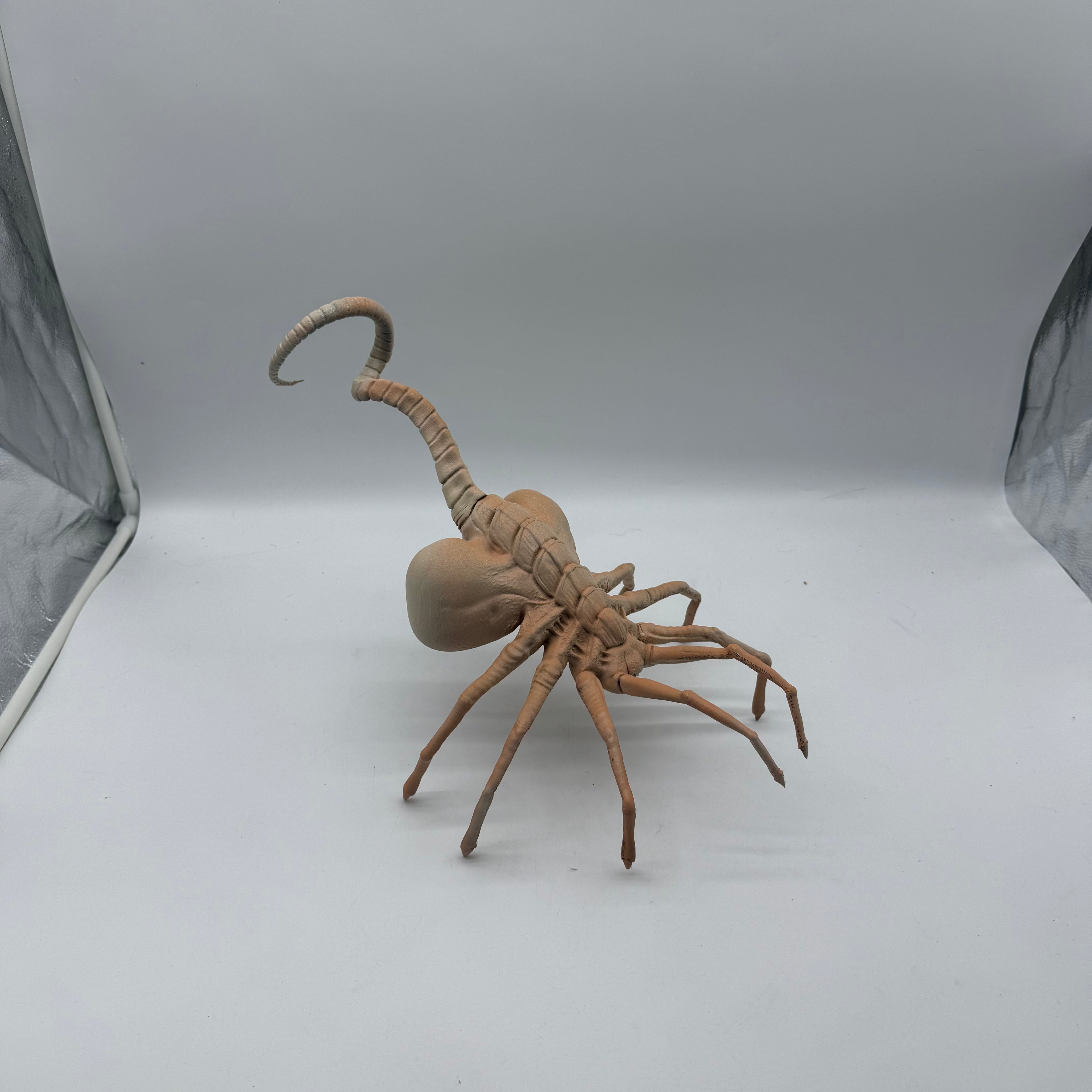 Lifesize 3D Print Alien Facehugger Detailed Display Model