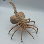 Lifesize 3D Print Alien Facehugger Detailed Display Model