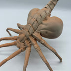 Lifesize 3D Print Alien Facehugger Detailed Display Model